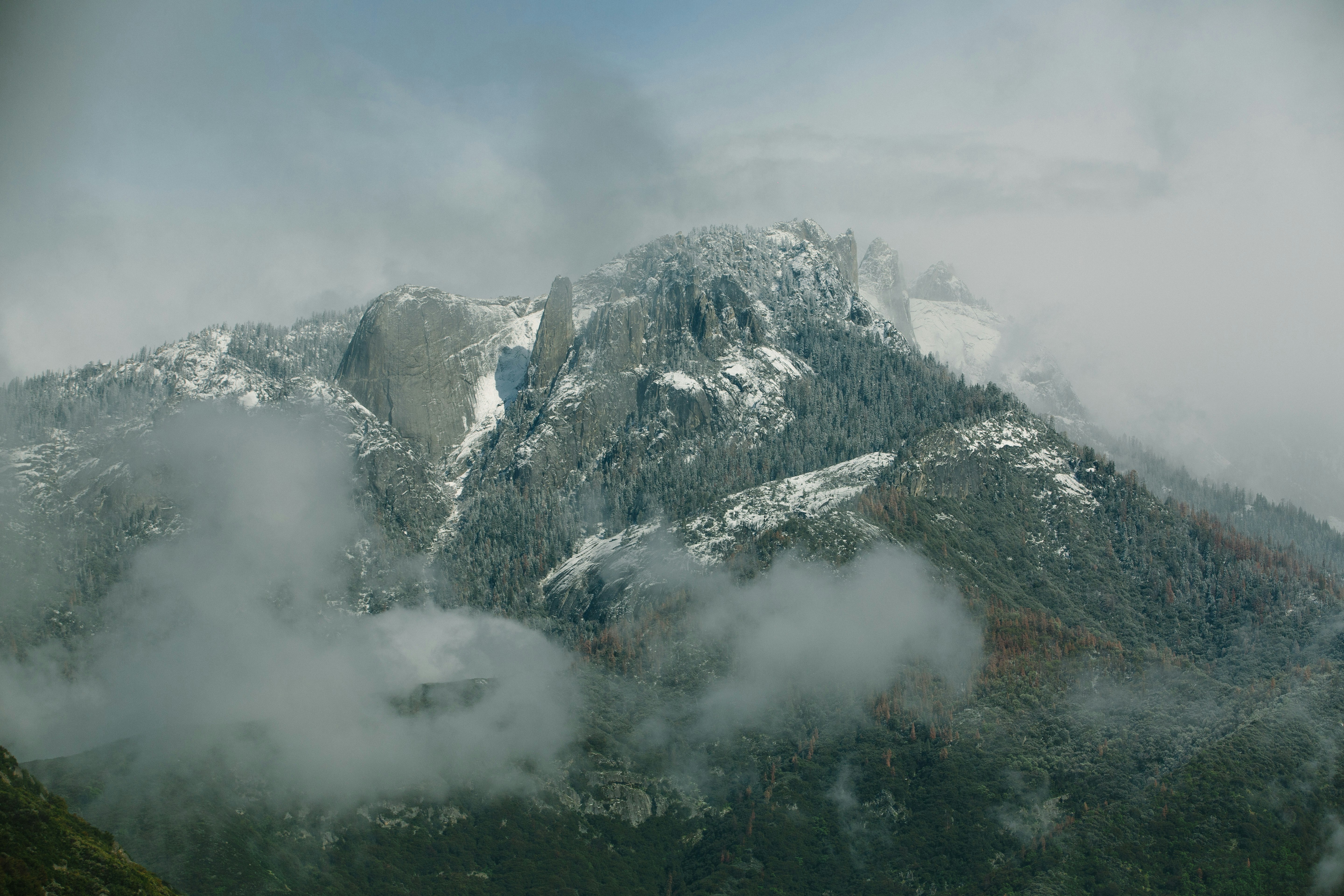 high mountain covered with trees